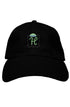 ShopHOPPED premium dad hat