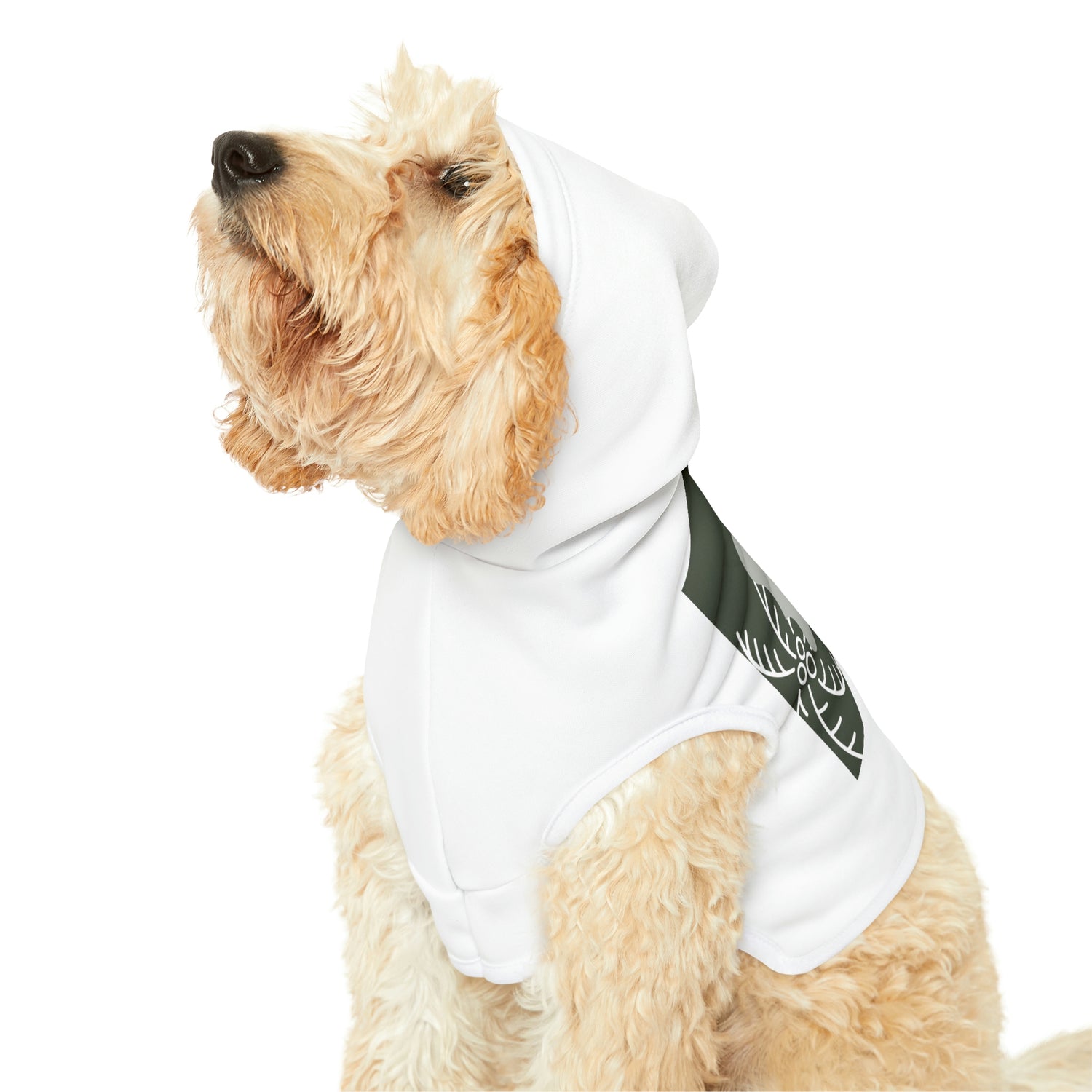 Dog Hoodie