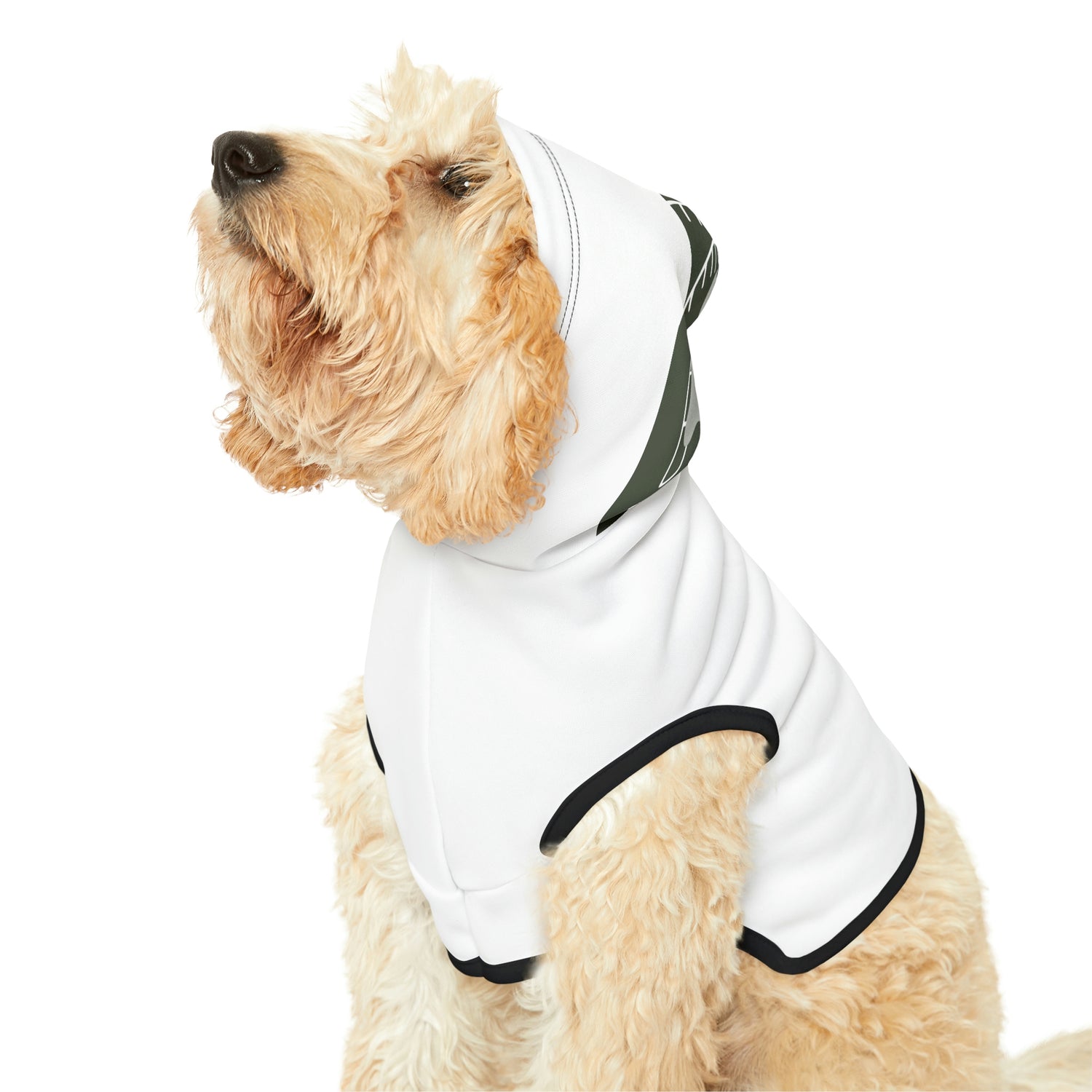 Dog Hoodie