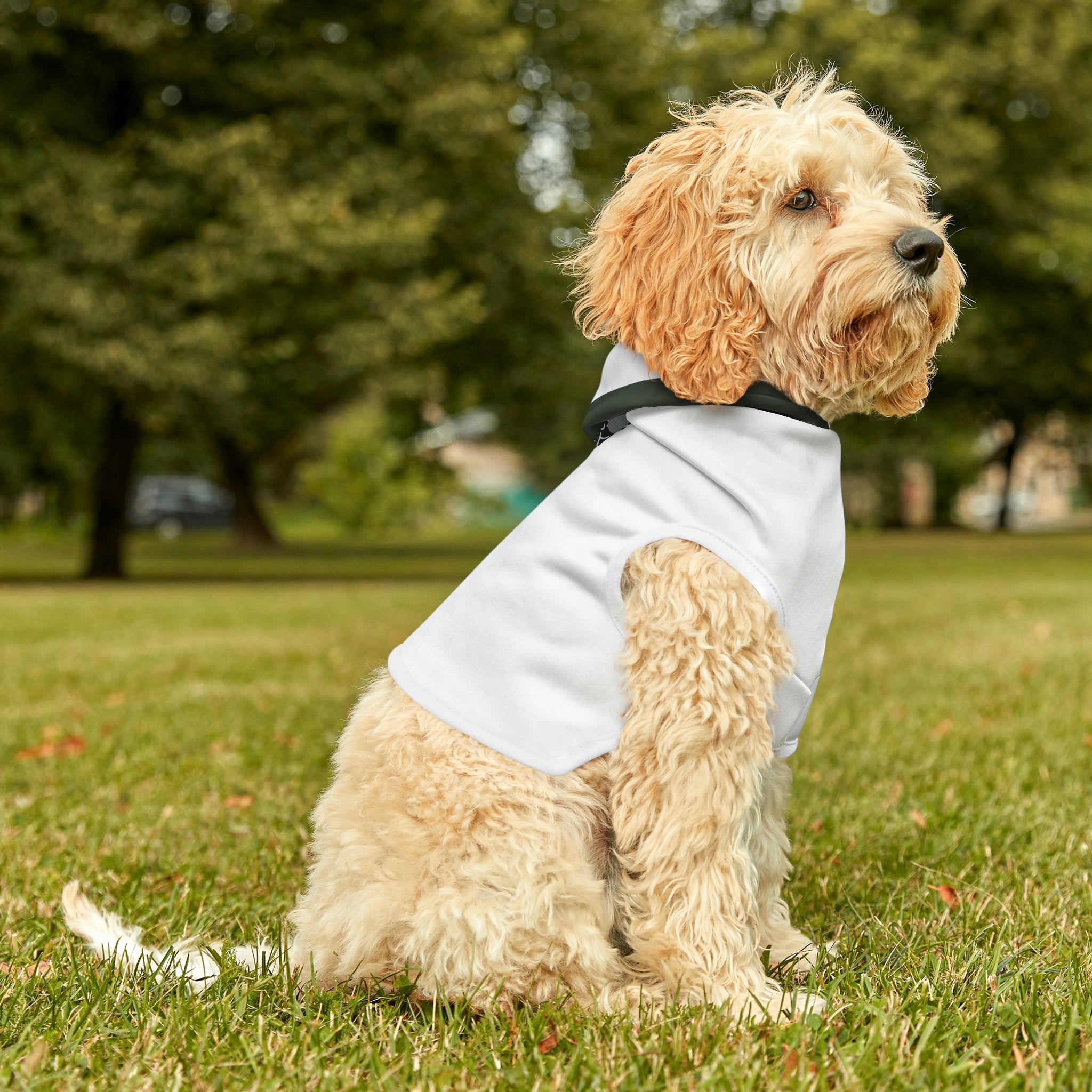 Dog Hoodie