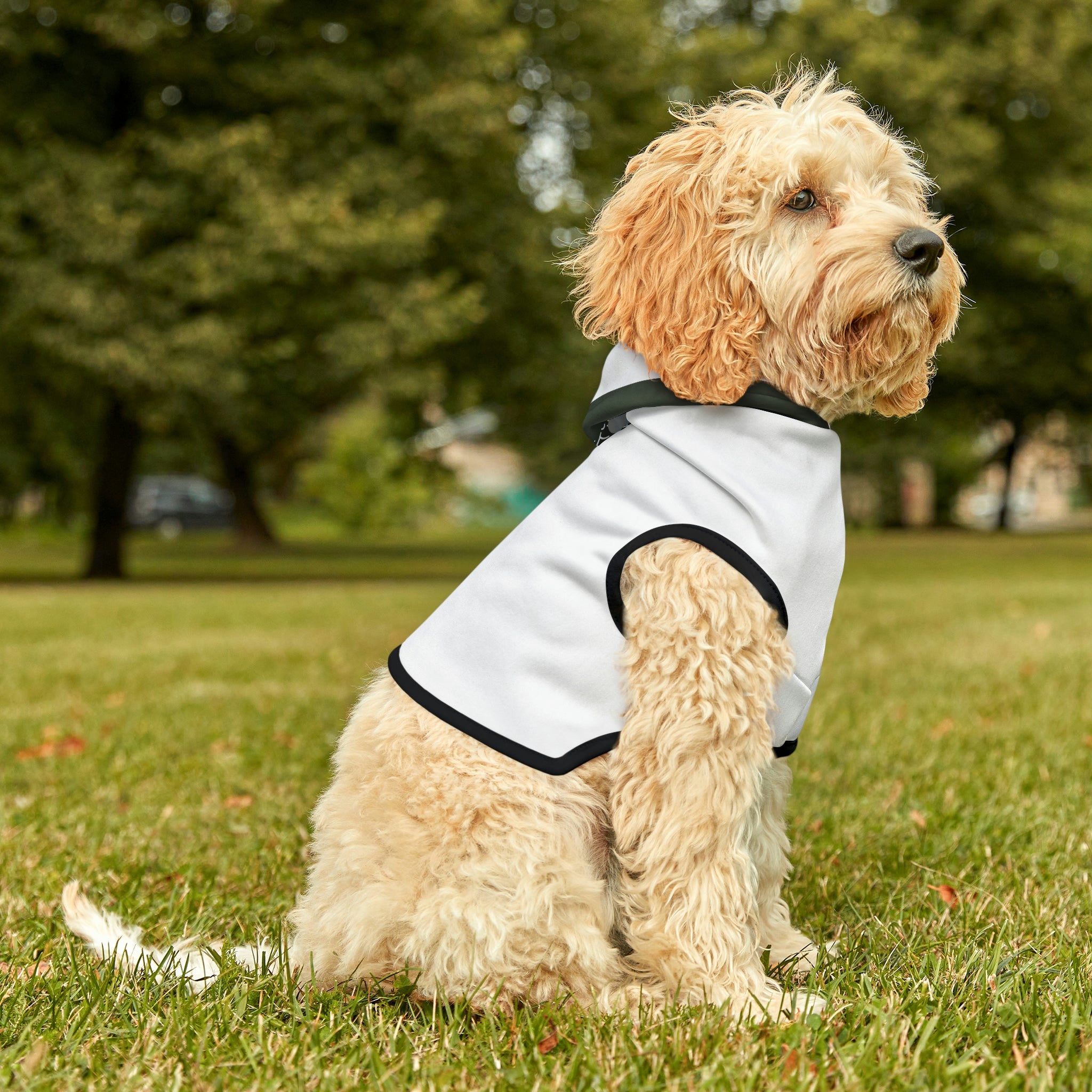 Dog Hoodie